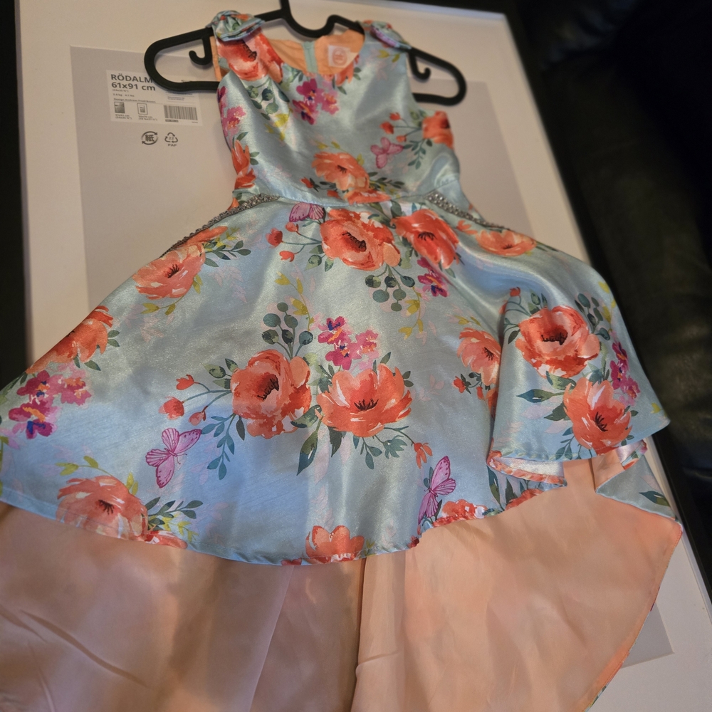 Floral Sleeveless Dress with Pink and Blue